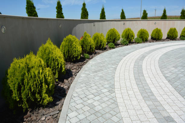 Best Driveway Paving Contractor  in Mountain Home, ID